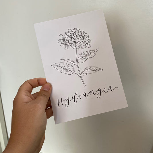 Line Illustration Flower Table Names